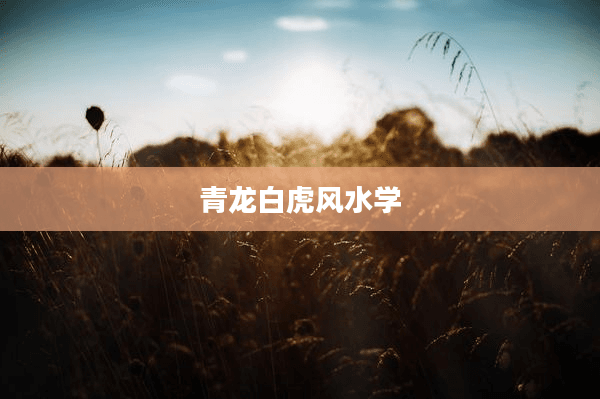 青龙白虎风水学：传统风水布局的艺术与智慧