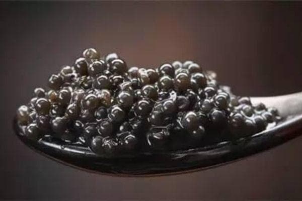 鱼子酱种类大全：从顶级黑鱼子到替代品，详解选购要点