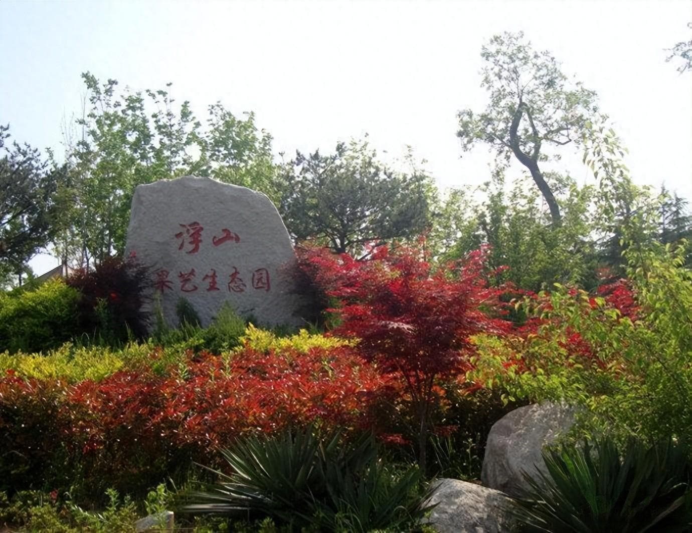 青岛浮山森林公园游玩攻略