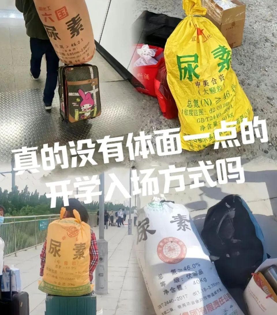 为什么大学新生背的尿素袋，背后是隐形的国家竞争？
