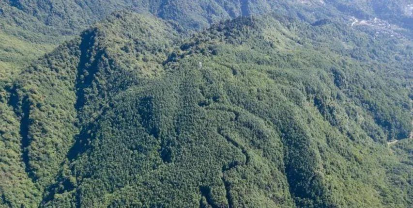 走进都江堰 探寻“江源第一峰”——赵公山