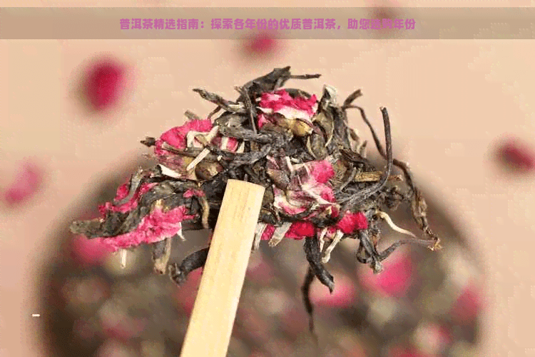 普洱茶精选指南：探索各年份的优质普洱茶，助您选购年份