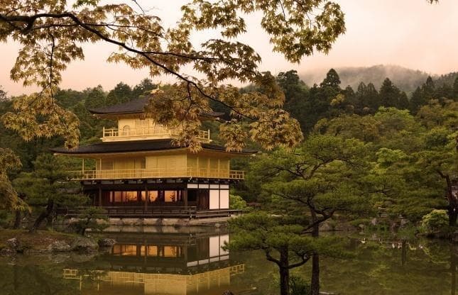 读书 | 唐风浸润下日本国家与社会文化的变迁