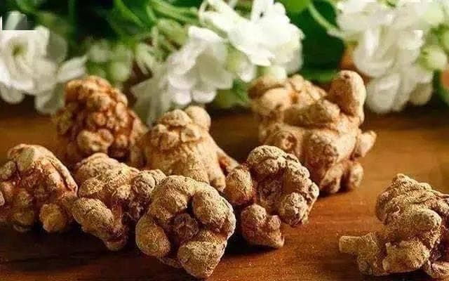 三七：自然馈赠的草本瑰宝