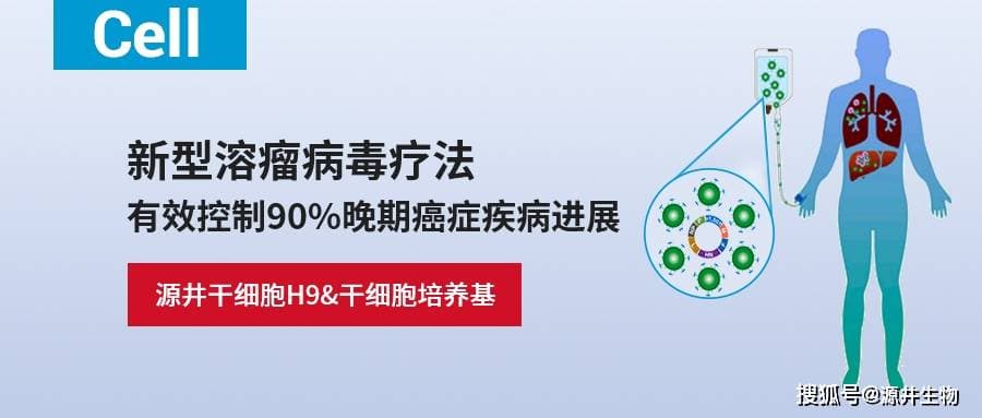 Cell重磅：新型溶瘤病毒疗法，有效控制90%晚期癌症疾病进展