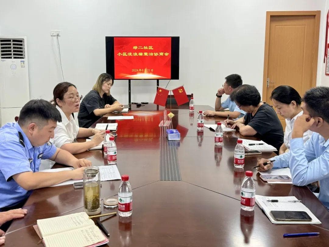 小区流浪猫怎么管？这个社区有“喵”招
