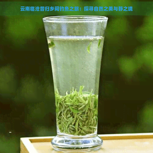 云南临沧昔归乡间钓鱼之旅：探寻自然之美与静之境