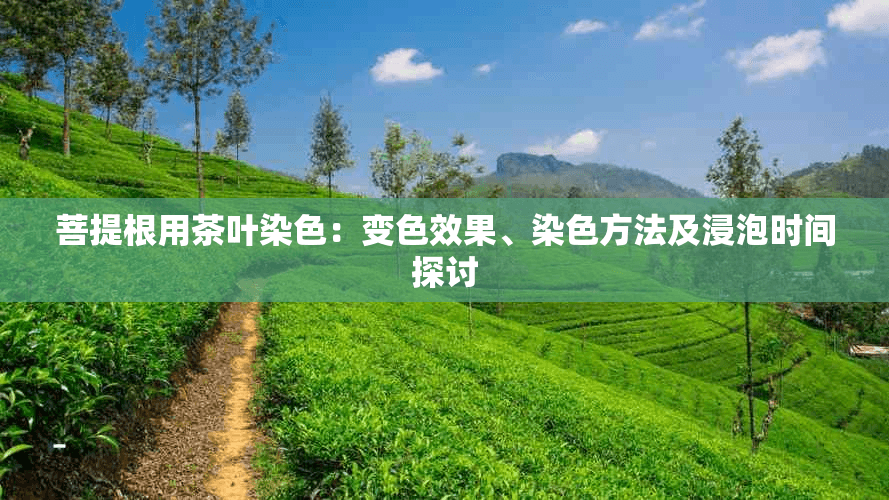 菩提根用茶叶染色：变色效果、染色方法及浸泡时间探讨