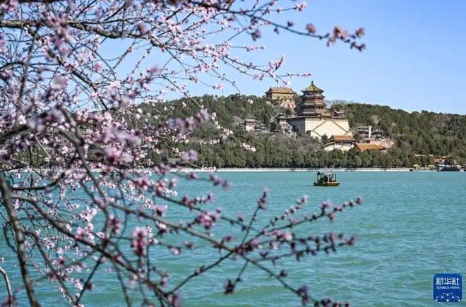 花粉季提前，注意区分过敏和感冒，尤其这些人