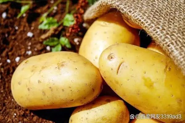 “土豆”“马铃薯”与“洋芋”名称背后的故事