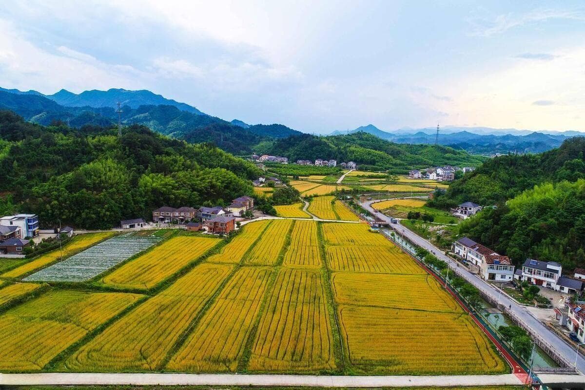亲戚去世，农村宅基地可以继承吗？满足4条件即可，城镇子女呢