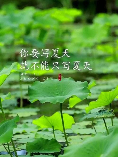 如何描写夏天？盛夏时分，笔尖之旅：夏日故事从何开始？!