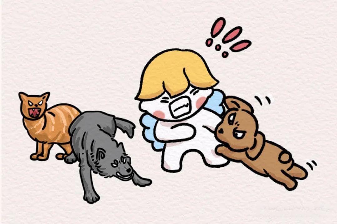 狂犬病科普：从定义到暴露后处理全解析
