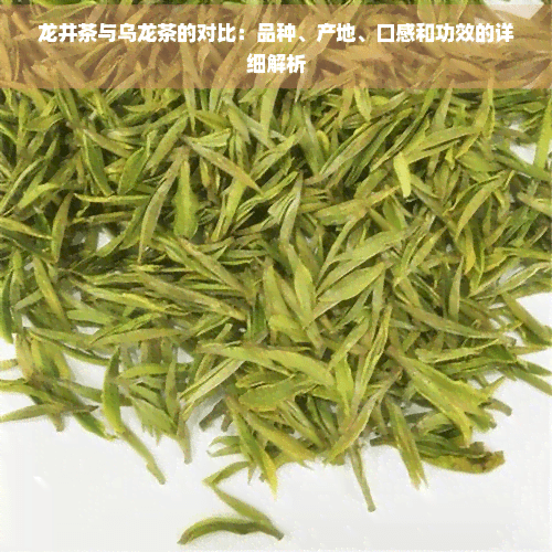 龙井茶与乌龙茶的对比：品种、产地、口感和功效的详细解析