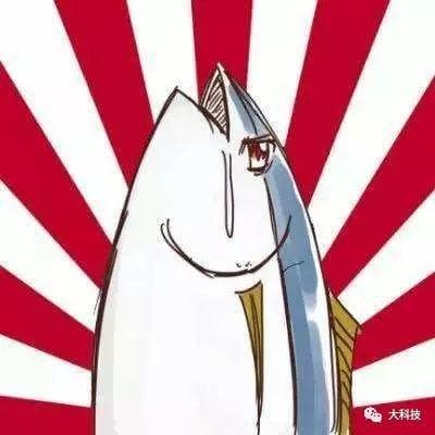成为一条“咸鱼”的4个原因