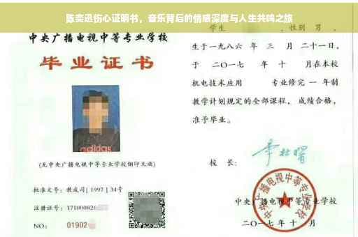 陈奕迅《伤心证明书》：音乐背后的情感深度与人生共鸣之旅