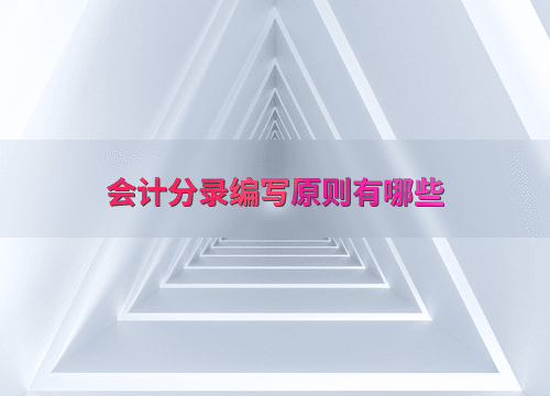 会计分录编写原则有哪些