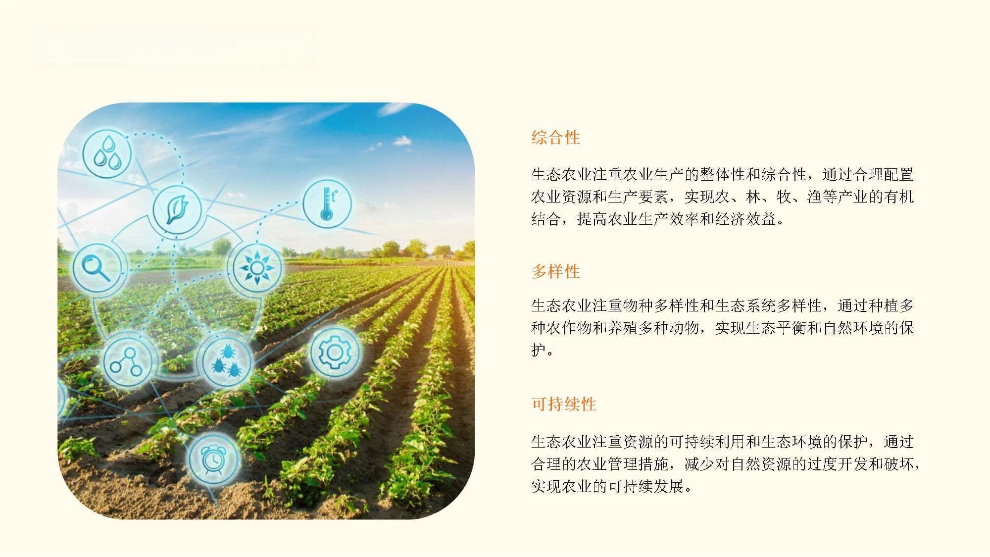 生态农业与环境保护