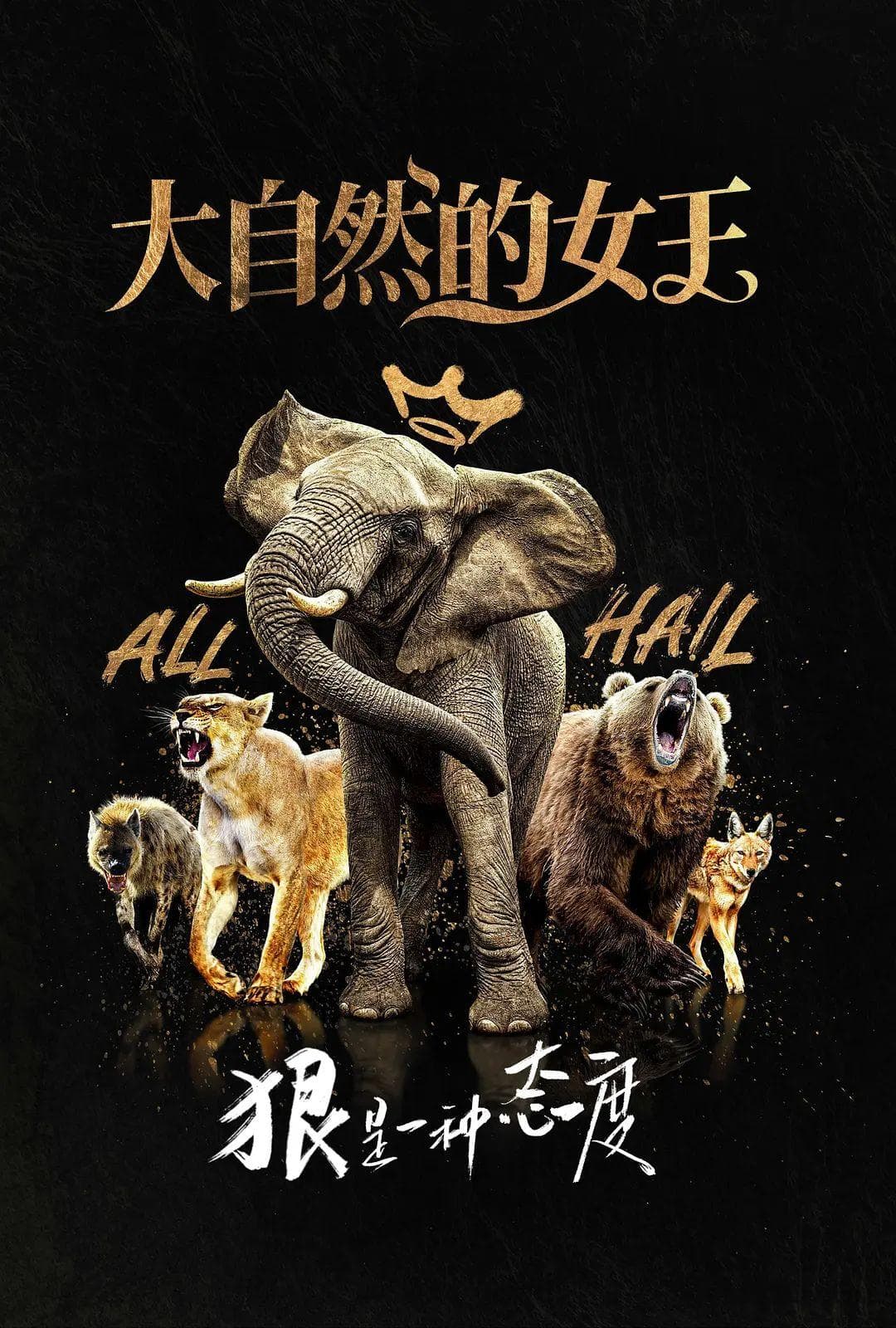 年度巨作，豆瓣9.6高分纪录片带你走进自然界的女性力量