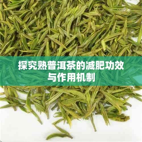 探究熟普洱茶的减肥功效与作用机制