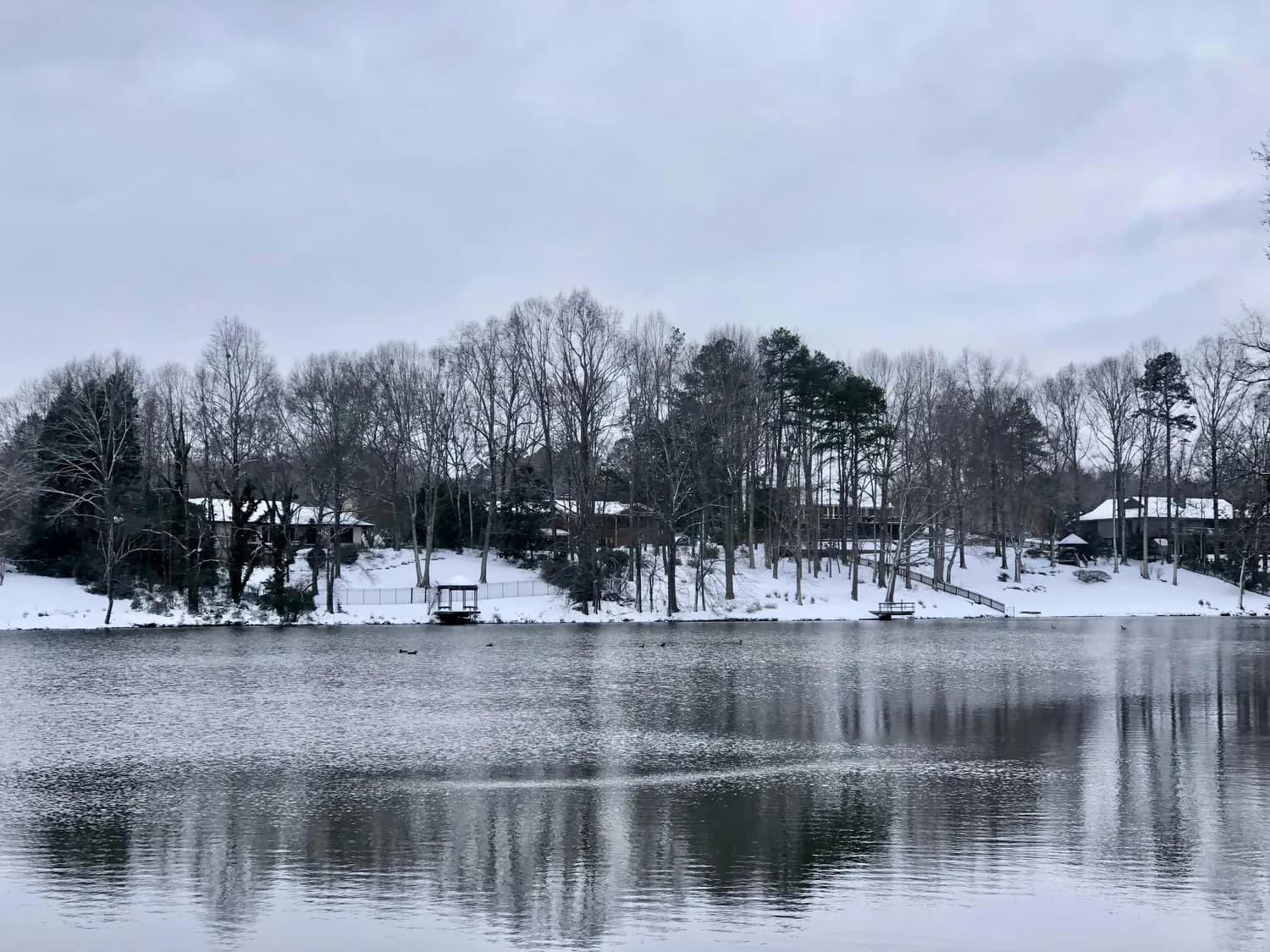 鼋头渚冬游攻略：赏雪景、观鸟趣