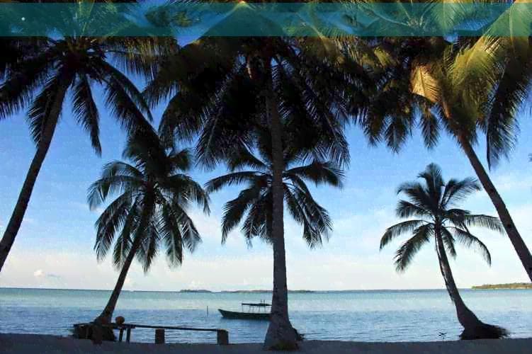 云南旅游攻略：高铁出行的便利性与经济性分析
