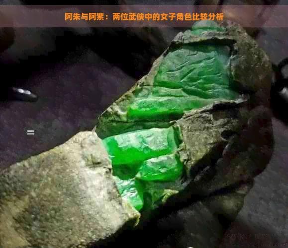 阿朱与阿紫：两位武侠中的女子角色比较分析