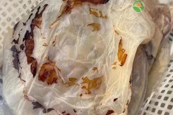 如何腌制海蜇？