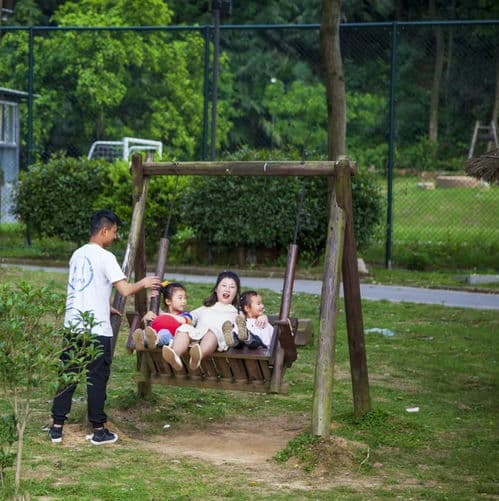 选健康零食，奖励狗狗快乐时光