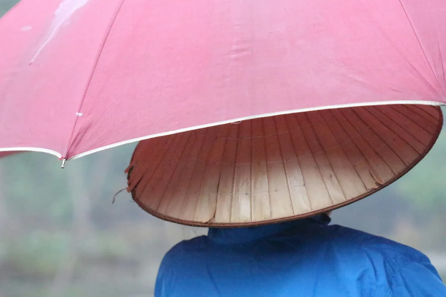 社保缴费压力大？专家建议降低缴费比例