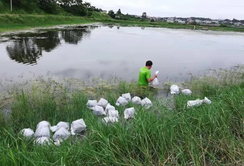 开春放鱼苗操作与注意事项，消毒、试水、调水、防病…