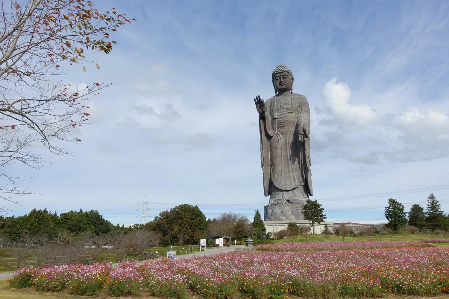 灵山大佛牵手拈花湾：无锡文旅的“黄金搭档”