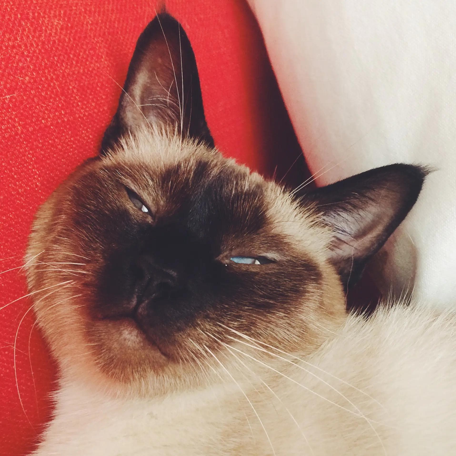 通过理解睡眠