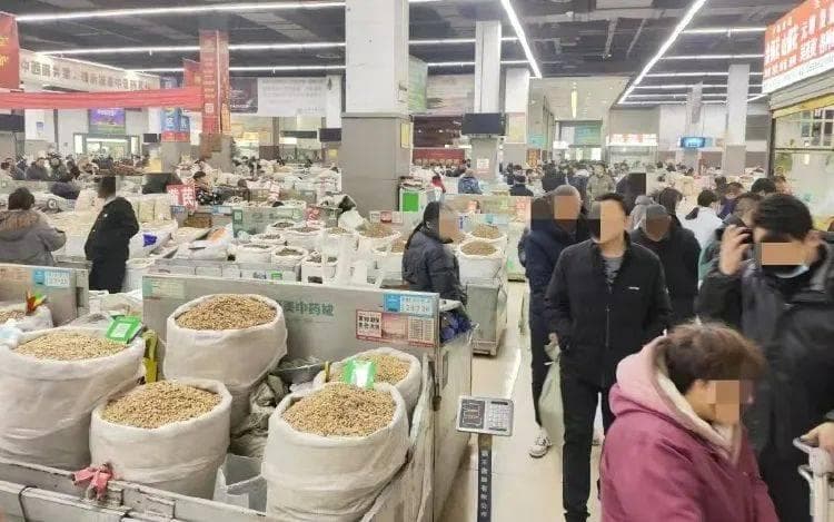 维护“药都”招牌，清除“假中药材”害群之马