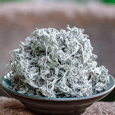 茵陈蒿：一种常见的药用植物