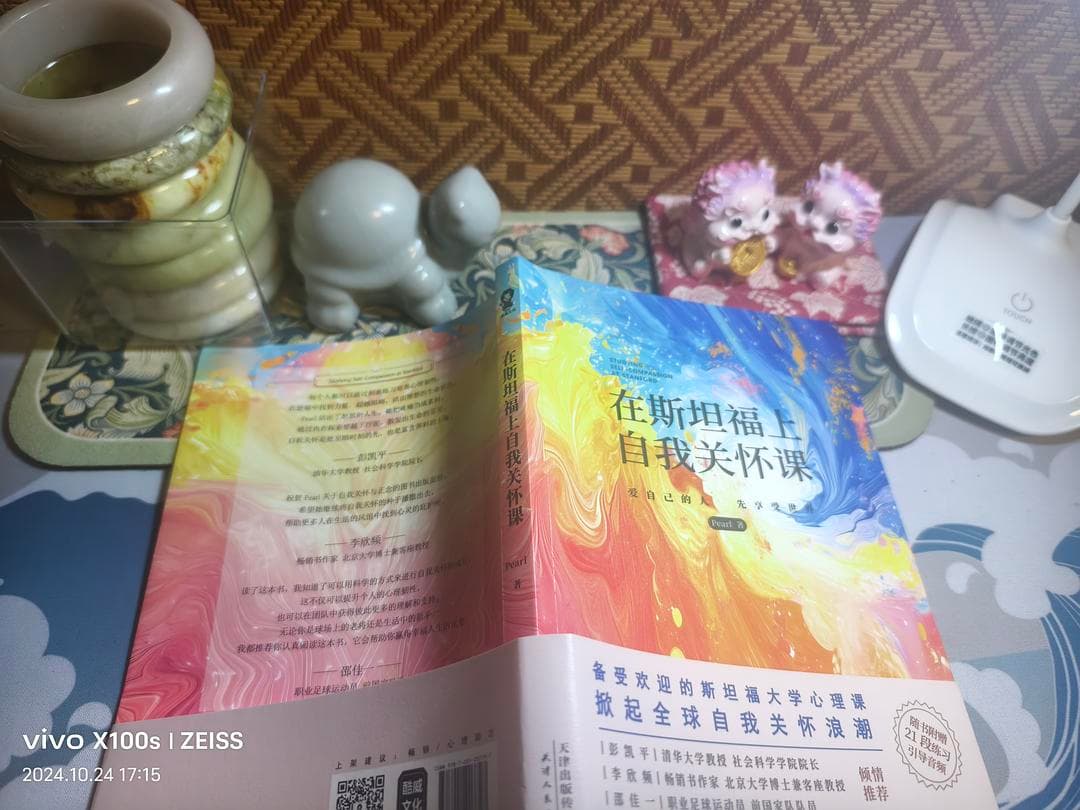 《在斯坦福上自我关怀课》：正念减压 - 轻松面对生活的挑战