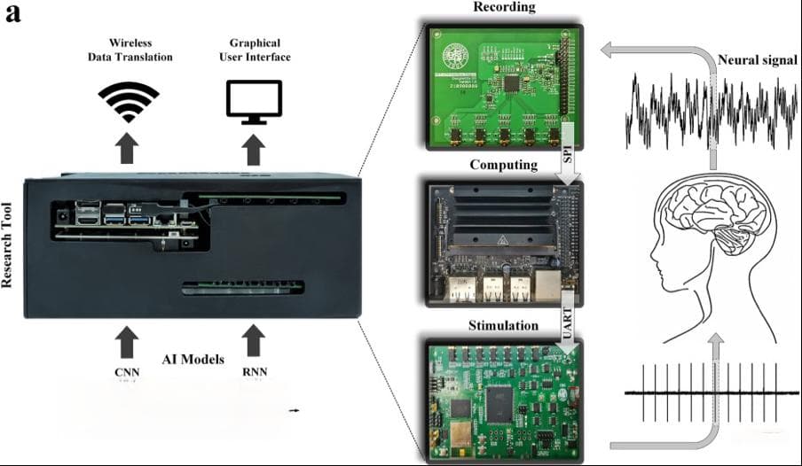 利用脑机交互式神经调节和 NVIDIA Jetson 改善脑部疾病治疗