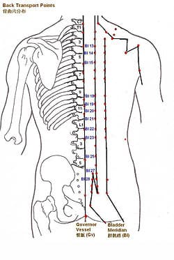 中医经络系统中的背俞穴与募穴：定义、位置与临床应用