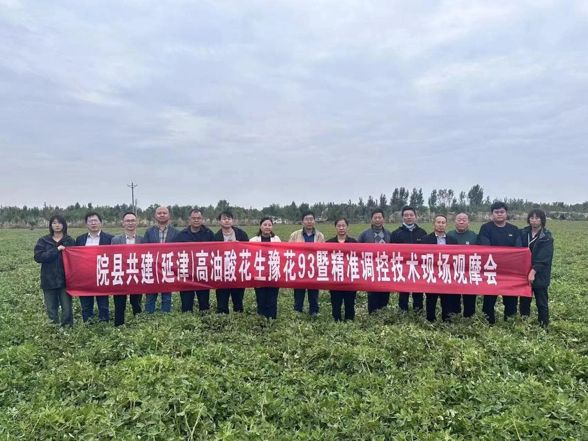 亩产452.65千克！延津花生产业“生花”