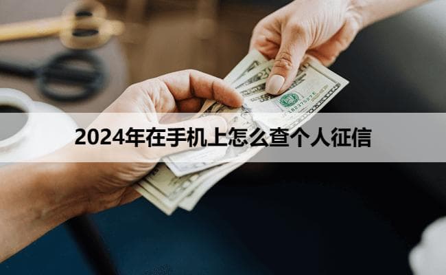 2024年在手机上怎么查个人征信？