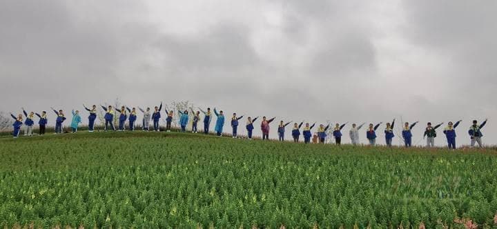 今年春游玩法变了！出圈的“过山车”，还有“古风潮”，行囊多了画笔、垃圾袋