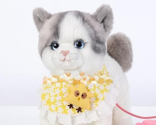 猫咪成长期适合的玩具（猫咪不同时期玩具推荐）