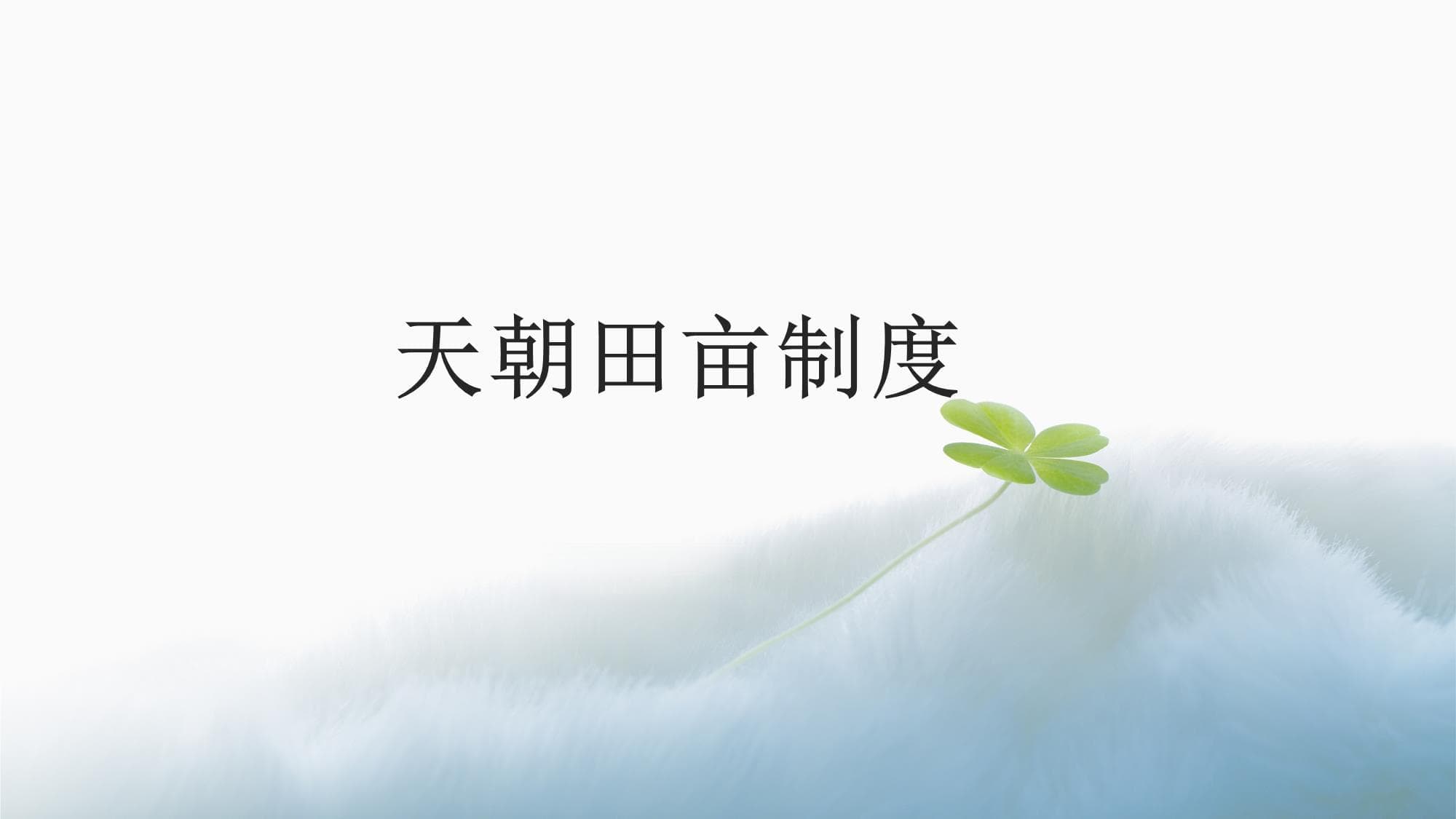 天朝田亩制度：从历史渊源到现代演变