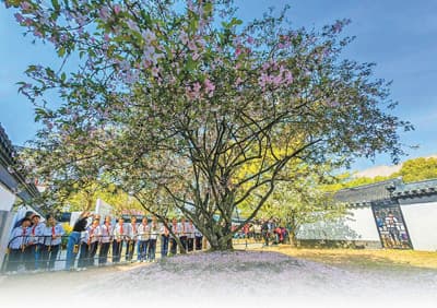 江苏宜兴发布苏东坡主题旅游路线——爱此溪山好 阳羡觅东坡（以文塑旅  以旅彰文）