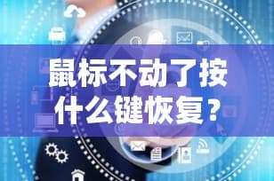 鼠标不动了怎么办？快速解决鼠标失灵问题