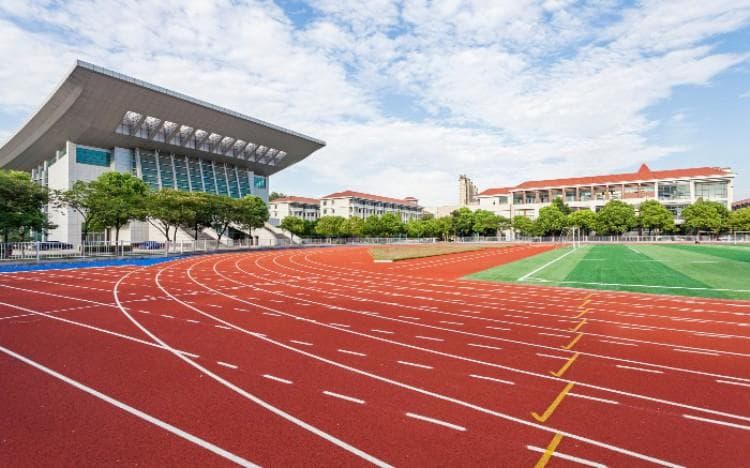 文物保护技术专业课程设置详解：从基础到核心的全方位培养