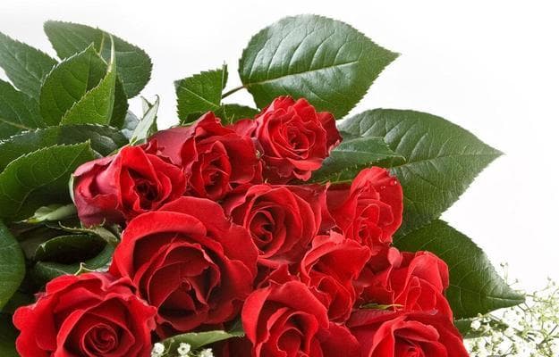 偏爱玫瑰代表了哪种情感？花语中的深层含义是什么？