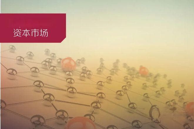 独立董事价值、责任、履职能力｜资本市场