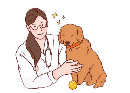 怎么辨认狗狗要驱虫了？这些信号要重视！