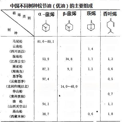 松节油：从提取到应用的全面解析